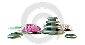 Balanced Pebbles and Lotus Blooms