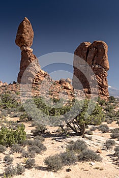 Balanced Rock and desert brush, Arches National Park Moab Utah