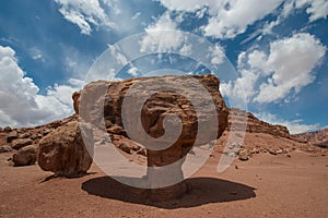 Balanced Rock Lees Ferry Coconino County Arizona