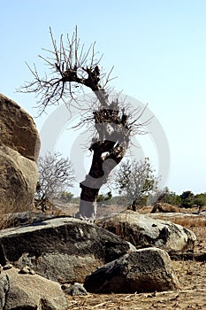 Balanced rocks in Africa