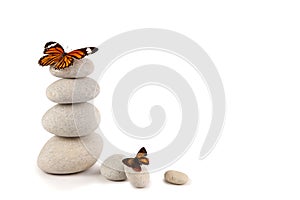 Balanced stones with butterflies photo