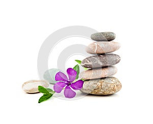 The balanced stones and gentle flower