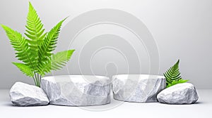 Balanced White Stones and Ferns on White photo