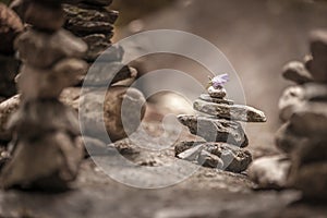 Balancing cairns in the forest