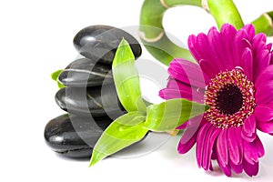 Balancing pebbles with bamboo and daisy flower