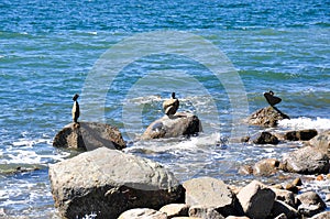 Balancing rocks, Vancouver, British Columbia, Canada