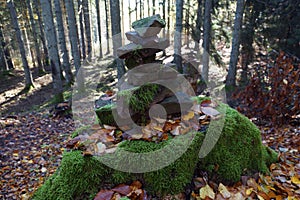Balancing Stones in wooden nature