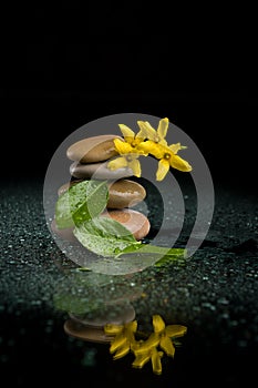 Balancing zen stones on black with yellow flower