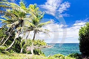 Balandra Bay, Trinidad photo