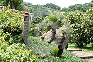 Balata garden, Martinique. photo
