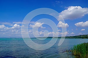 Balaton Lake summer landscape in Hungary, Europe