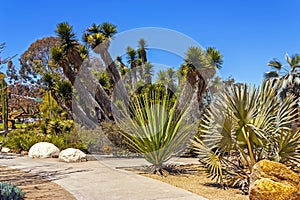 Balboa national park in California