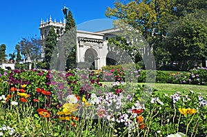 Balboa Park with flowers