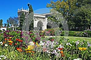 Balboa Park with flowers photo