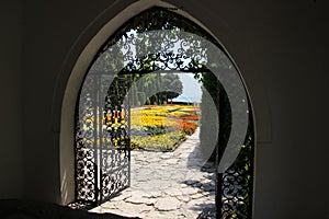 Balcic gardens photo