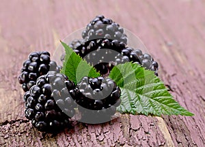 Balckberry fruit closeup