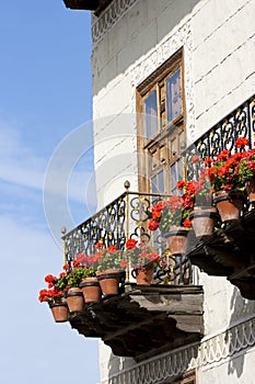 Balcon with flowers