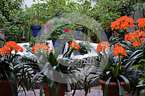 Balconies filled with flowers in spring, CÃÂ³rdoba, Spain
