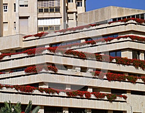 Balconies with flowers