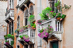 Balconies of residential house in Venice decorated with flowers