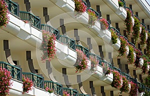 Balconies with trailing pink Geraniums