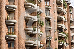 Balconies and windows with plants