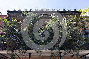 Balcony with Beautiful Overgrown Plants and Flowers at a French Quarter Home in New Orleans