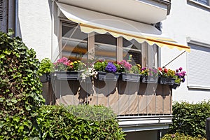 Balcony with flower boxes, apartment house, Bremen, Germany