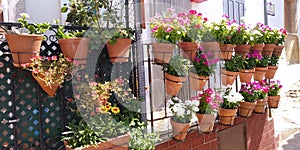 Balcony with flower pots