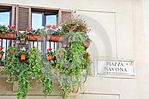 Balcony with flower pots in Piazza Navona, Rome