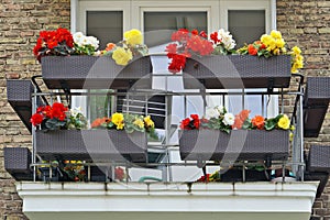 Balcony with flowering colorful begonia photo