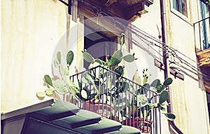 Balcony with flowerpots cactus and house plants in a historic building in Taormina, traditional architecture of Sicily, Italy