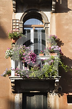 Balcony and Flowers