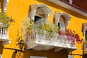 Balcony with flowers