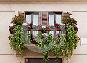 Balcony with flowers