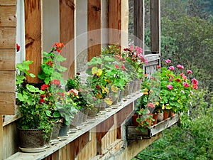 Balcony with flowers in Masouleh or Masuleh , Gilan , Iran photo