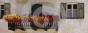 Balcony with flowers, Nova Levante, Italy