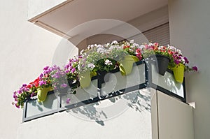 Balcony with flowers