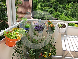 Balcony with flowers and vegetables