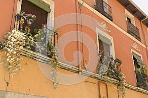 A balcony full of exotic plants on a Madrid street.