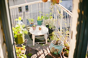 Balcony garden with table and hanging pots