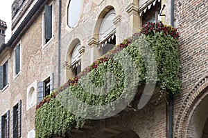 Balcony with ivy and plaque