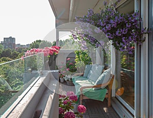 Balcony plants, beautiful different colored flowers, blu sky