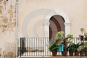 Balcony with plants in flowerpots in