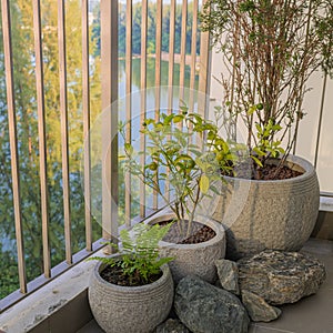 A balcony with potted plants in HDB BTO apartment at Sumang 325B, Singapore.
