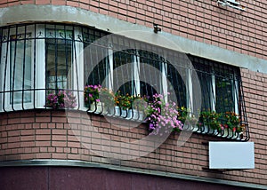 Balcony windows with autumn flowers