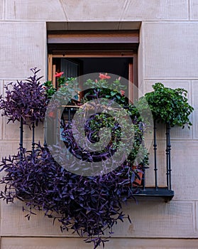 Balcony with wrought iron railing and purple and red flowers with lots of green