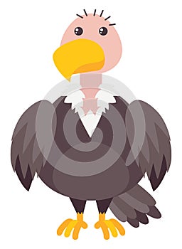 Bald bird, illustration, vector photo