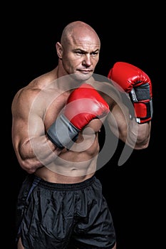 Bald boxer with red gloves