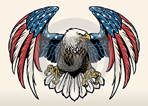 Bald eagle with america flag color